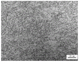 High-toughness and low-yield-ratio hot-rolled thick plate for cold-resistant pipeline and production method of high-toughness and low-yield-ratio hot-rolled thick plate