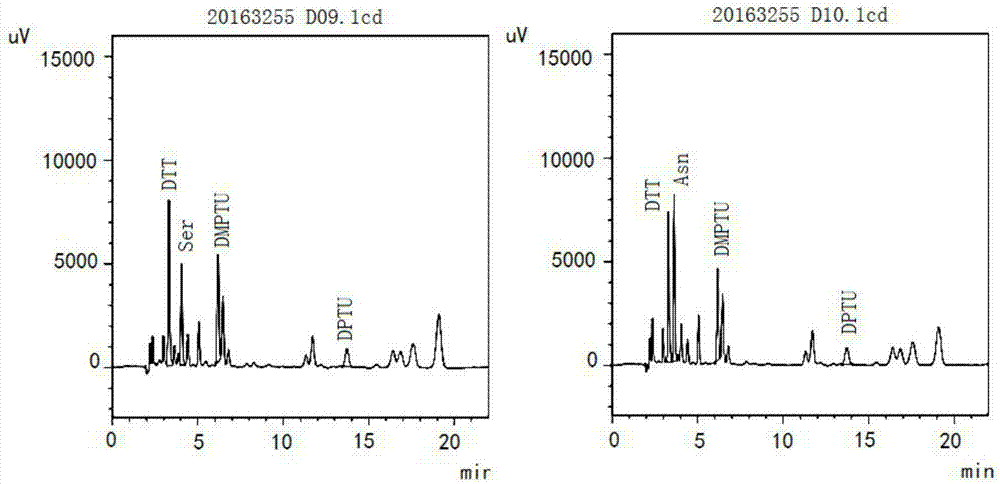 Recombinant Wzt protein rabbit serum polyclonal antibody and preparation method thereof