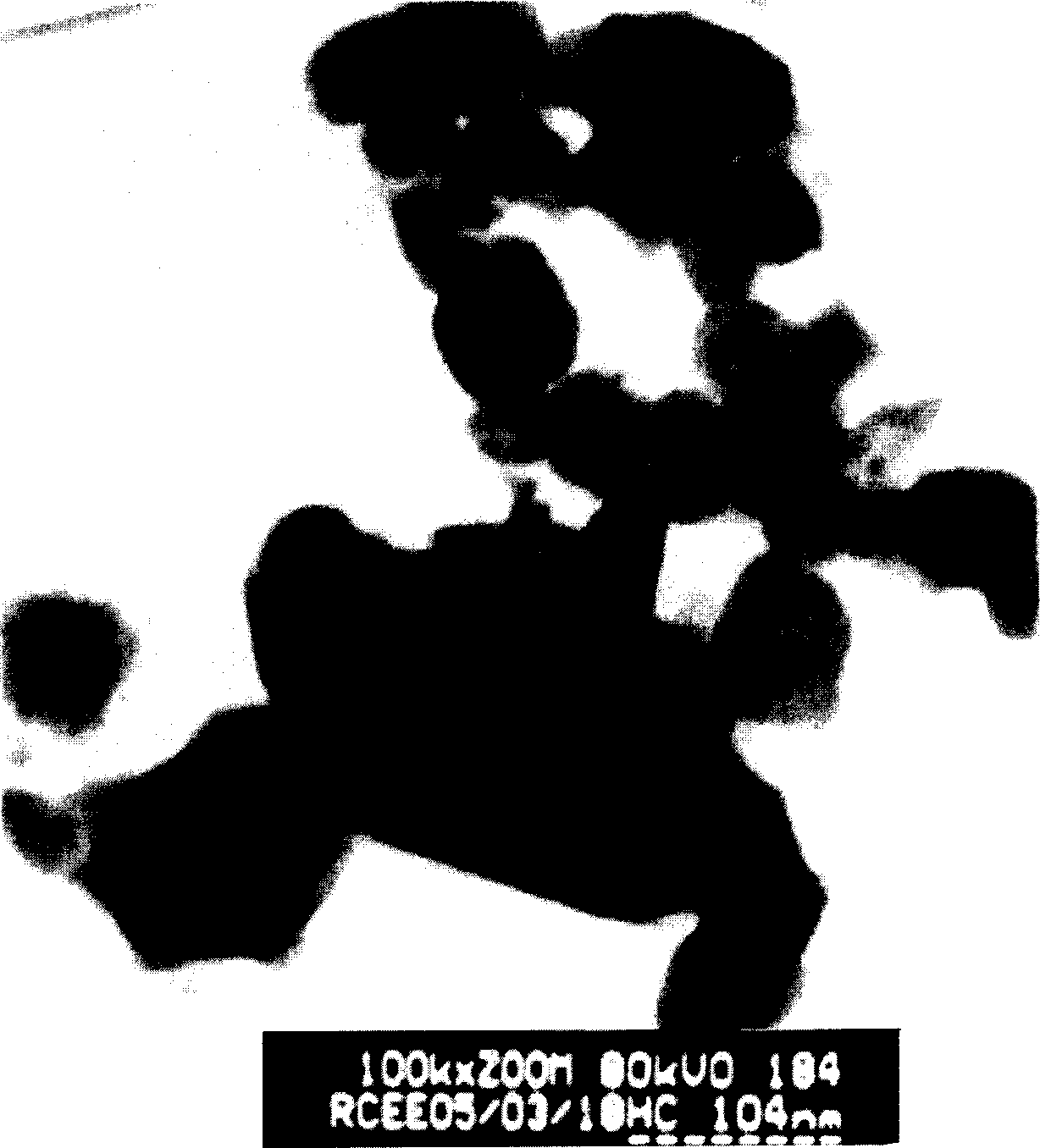 Fast polybrominated biphenyl ether degrading method with nanometer iron powder