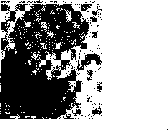 Freeze-thaw stability testing method for bearing capacity of aggregate base