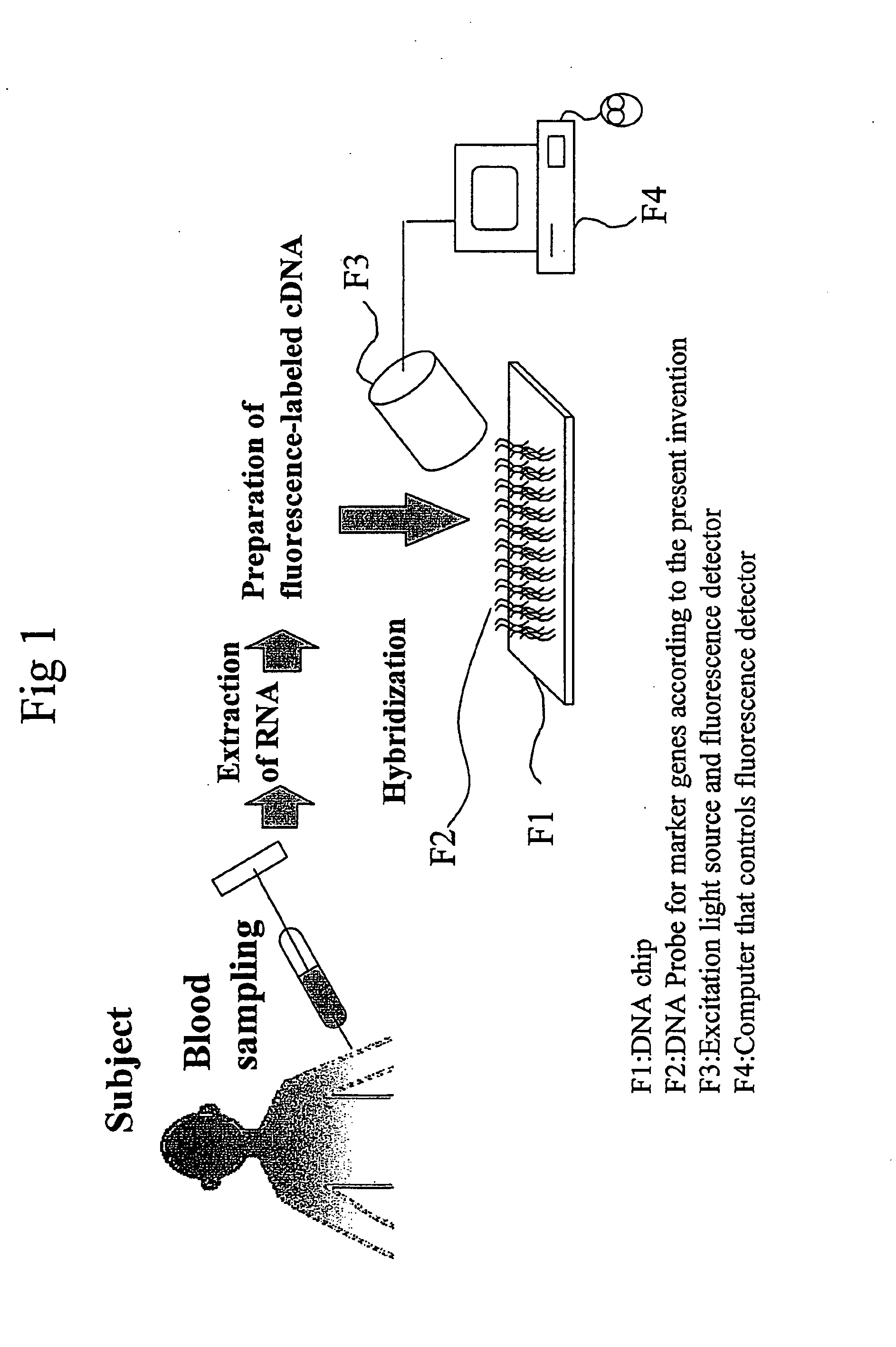 Method for Diagnosing Depression