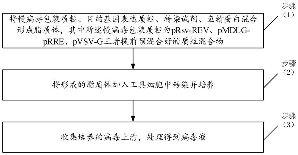 Packaging method for rapidly obtaining high-titer lentivirus