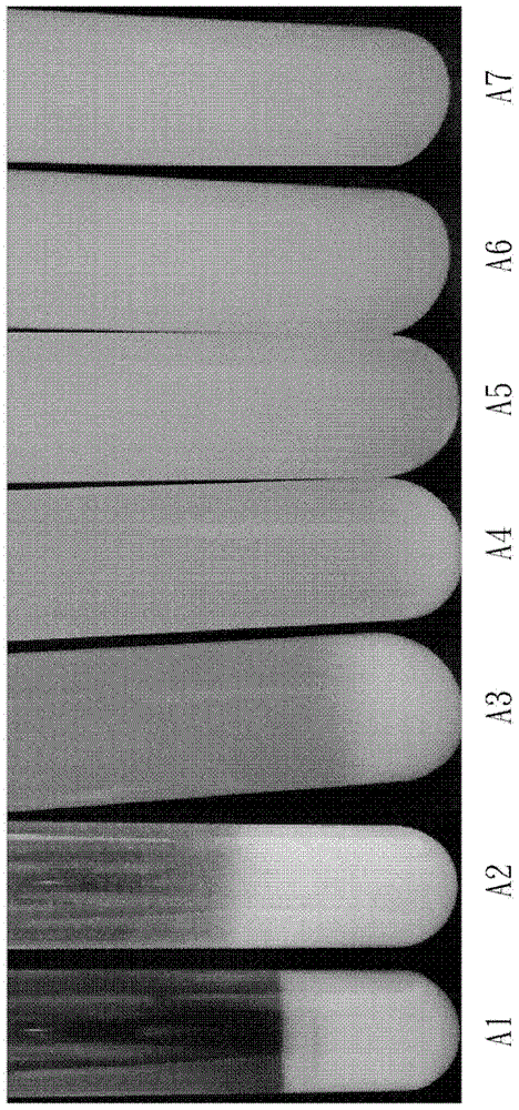 Royal jelly solution and preparation method thereof