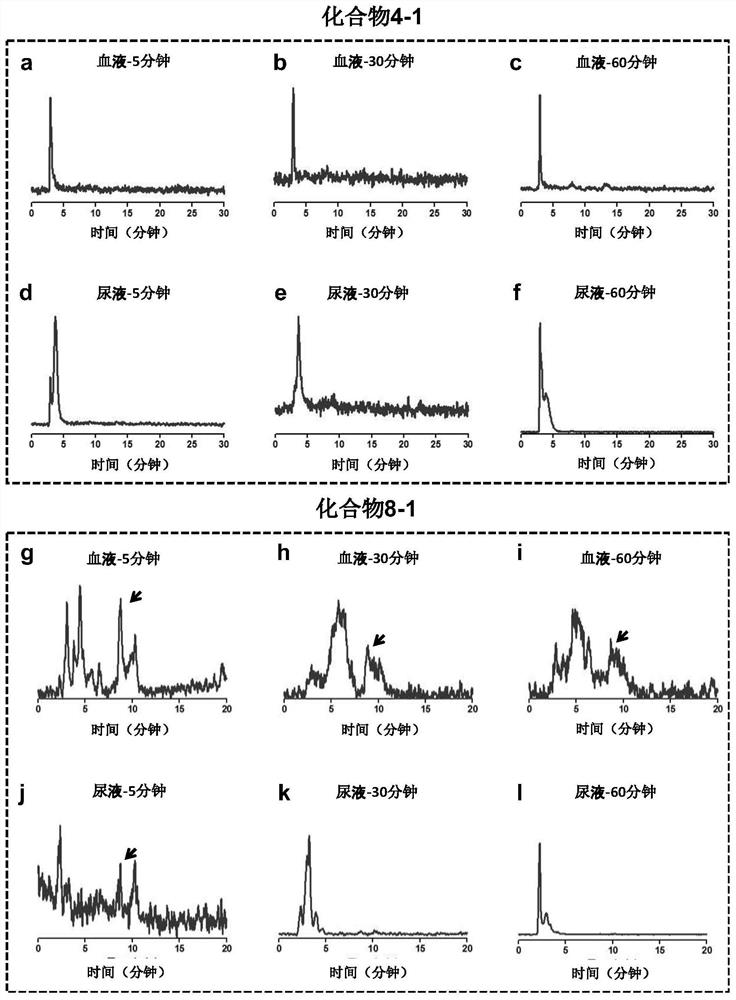 Radionuclide-labeled estrogen receptor molecular targeting compound and application thereof