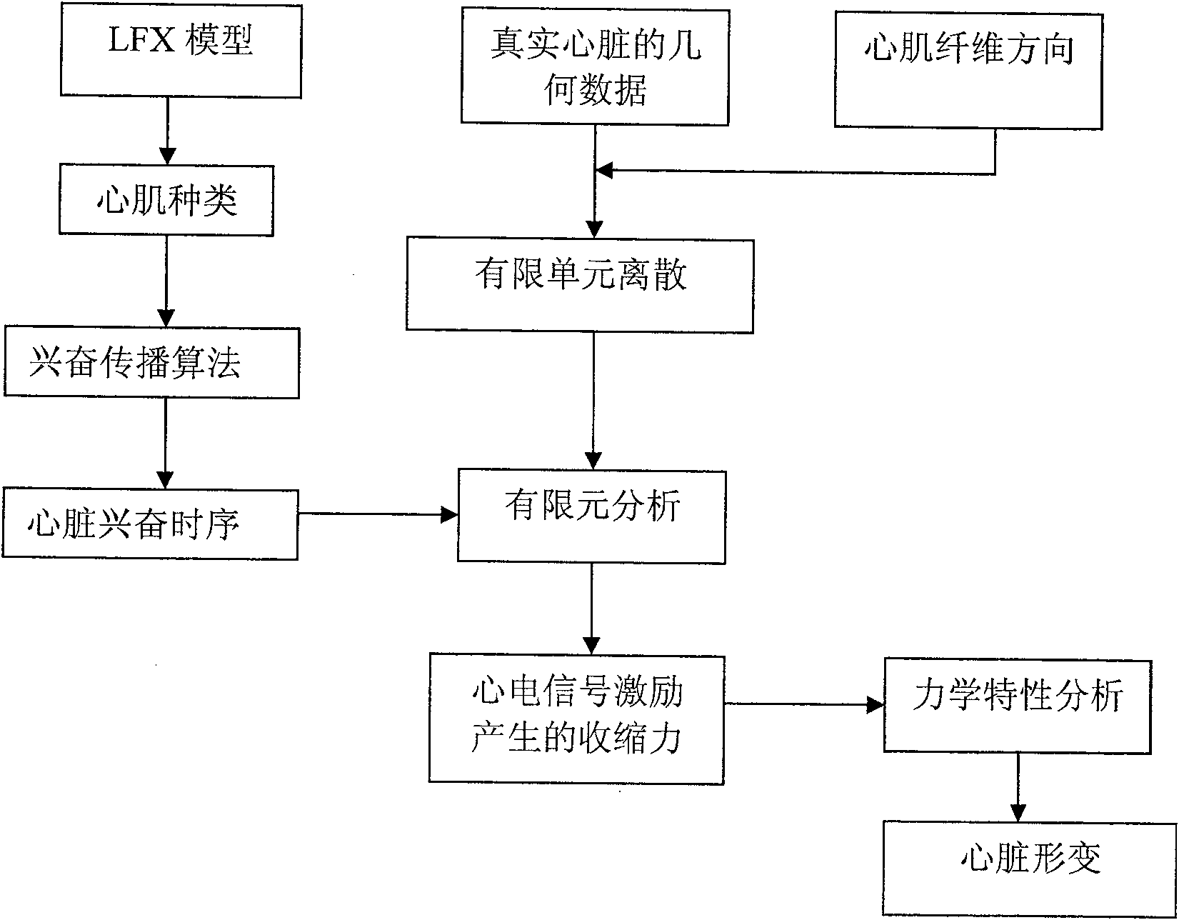 Heart electric function imaging method based on jumping heart model