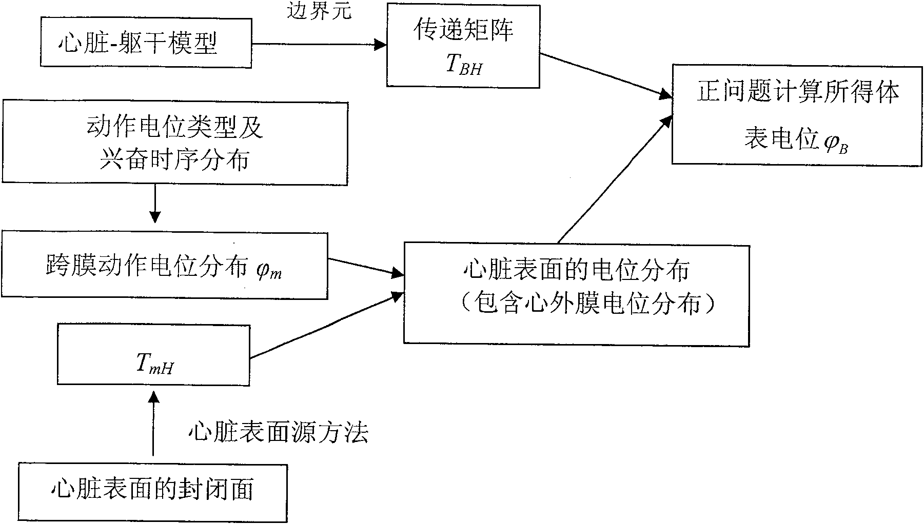 Heart electric function imaging method based on jumping heart model