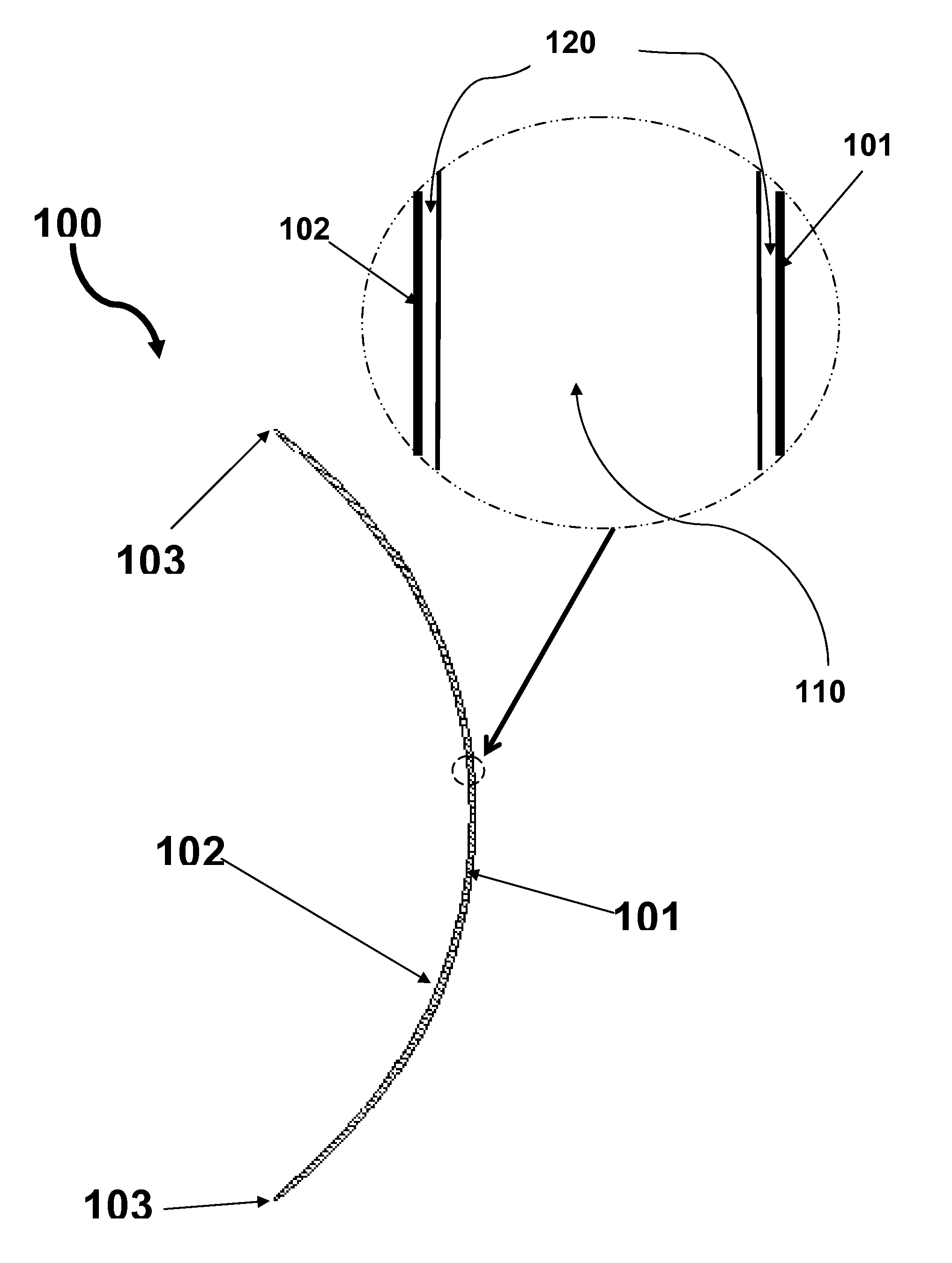 Silicone hydrogel lenses with water-rich surfaces