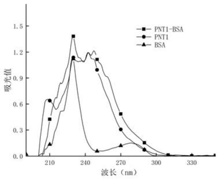 Hapten, artificial antigens and antibody for detecting phenacetin as well as preparation method and application of hapten, artificial antigens and antibody