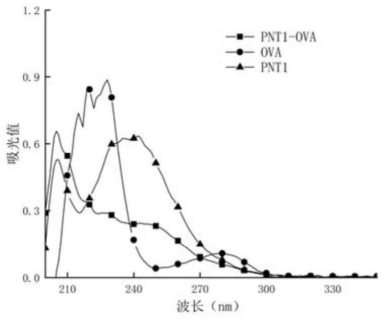 Hapten, artificial antigens and antibody for detecting phenacetin as well as preparation method and application of hapten, artificial antigens and antibody