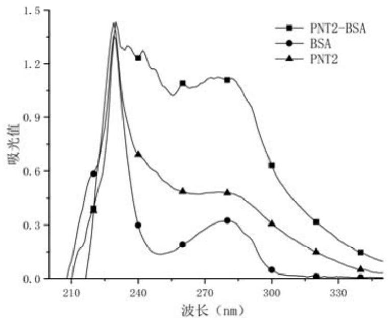 Hapten, artificial antigens and antibody for detecting phenacetin as well as preparation method and application of hapten, artificial antigens and antibody