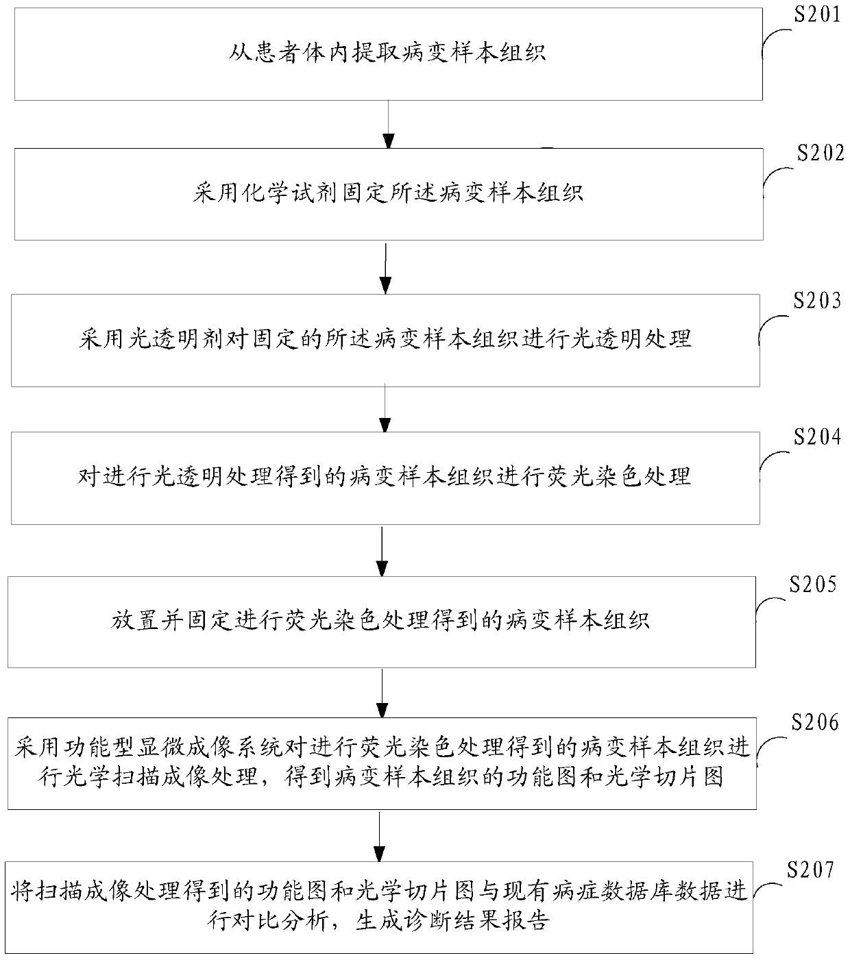 A system and method for intraoperative rapid pathological diagnosis