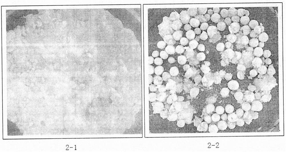 A kind of disintegrating magnesium-containing granular fertilizer and its preparation method