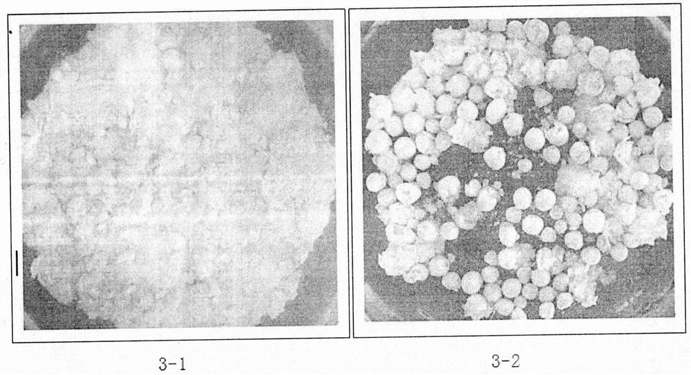 A kind of disintegrating magnesium-containing granular fertilizer and its preparation method