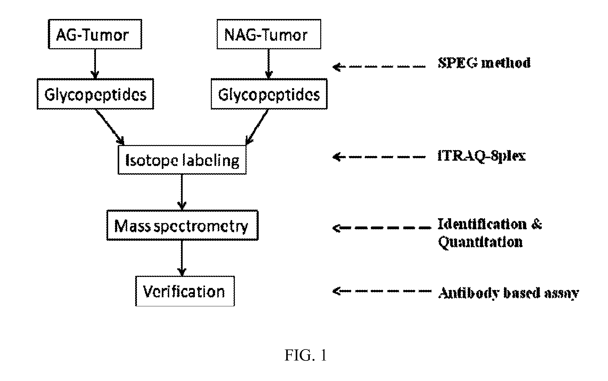 Biomarkers for aggressive prostate cancer