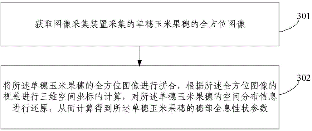 Falling type corn ear holographic character rapid measuring system and method