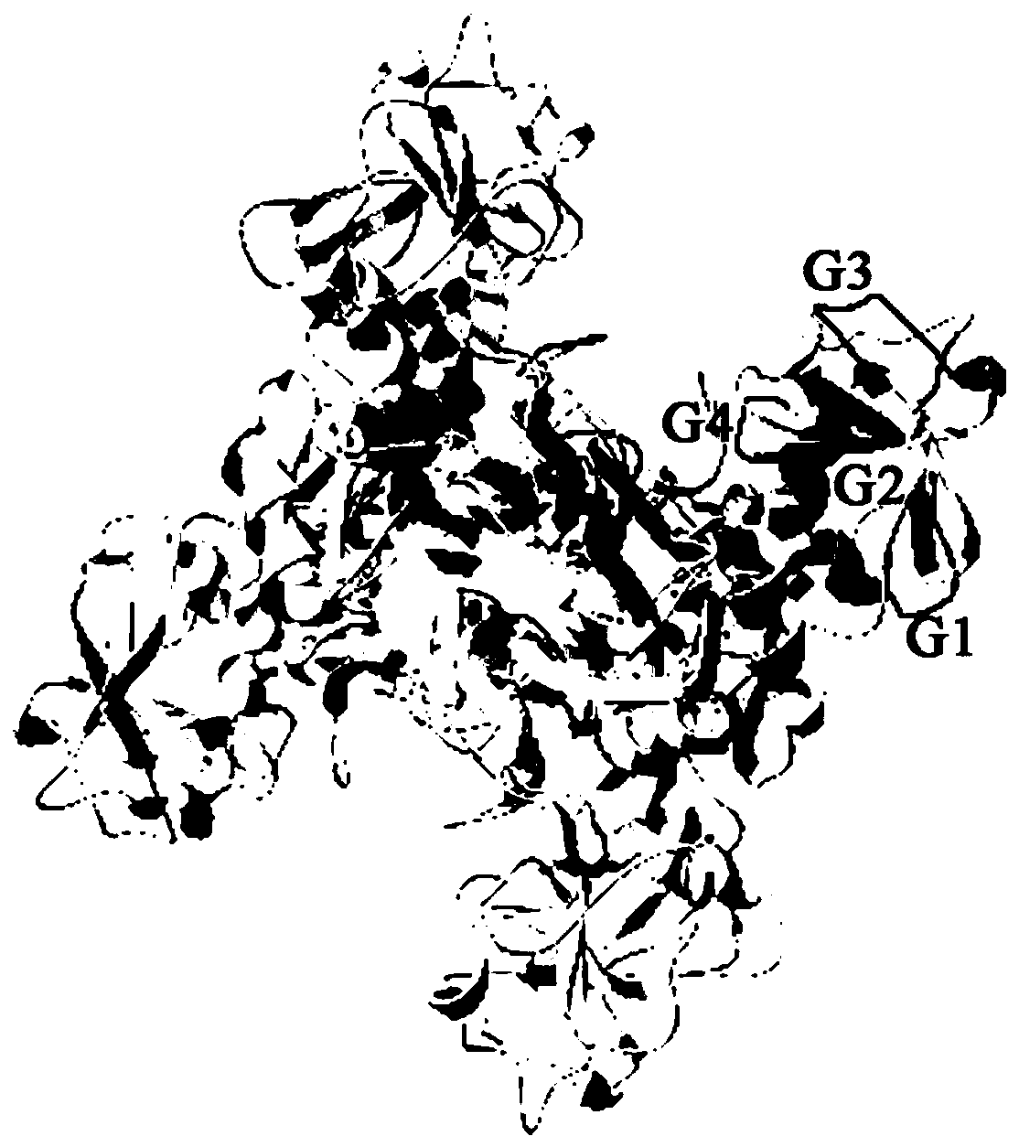 Paralichthys olivaceus streptococcus iniae GAPDH series-connection multi-epitope polypeptide and application thereof