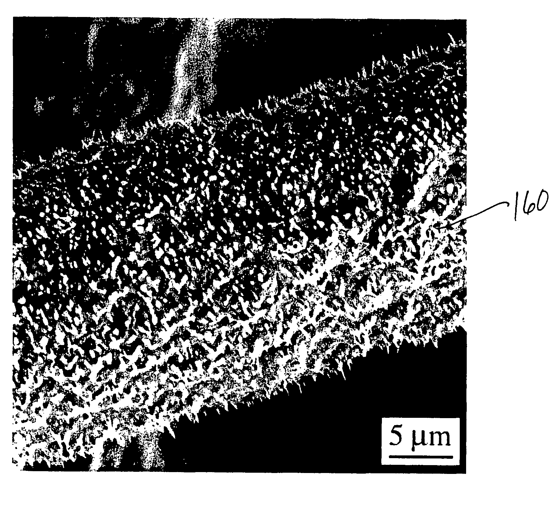 Advanced catalyst system prepared from a whiskered aluminum-containing metallic alloy substrate