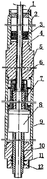 Rodless oil extraction system driven by underground rotation motor