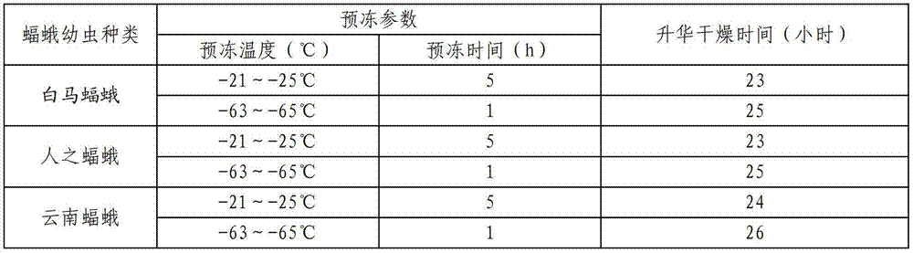 Freeze-drying method for thitarodes larva