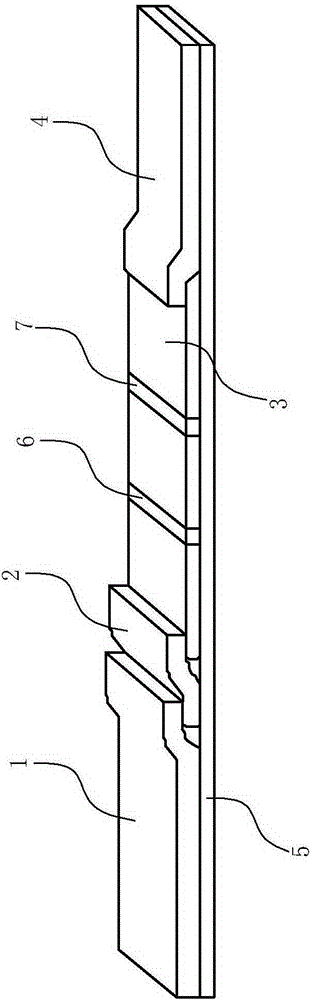 Scylla serrata reovirus colloidal gold immunochromatographic assay reagent strip and preparing method and using method thereof