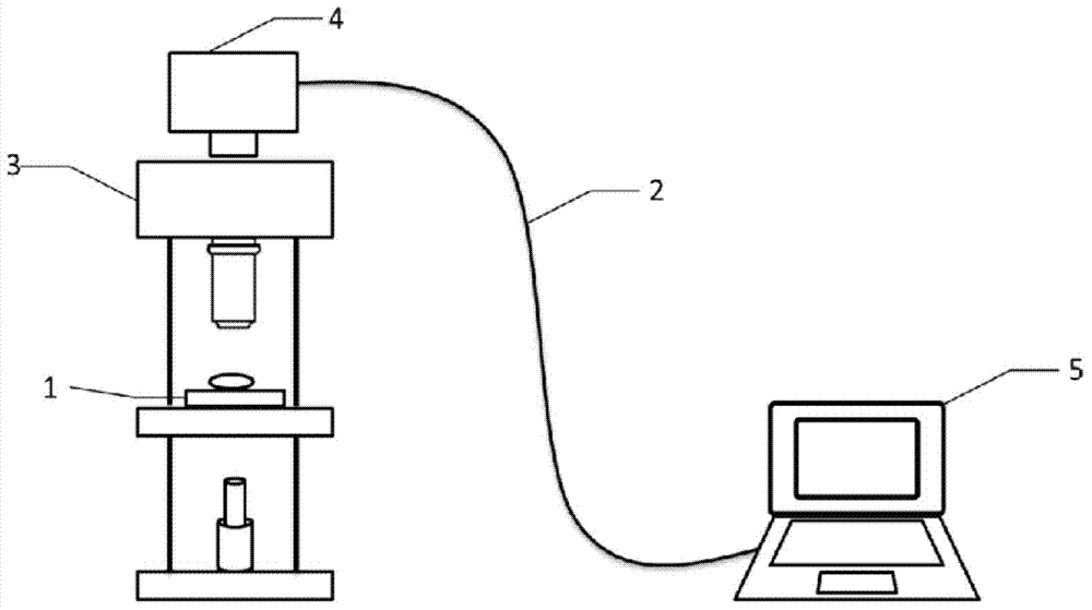 Drug cardiotoxicity detection analysis method based on myocardial cell sensor