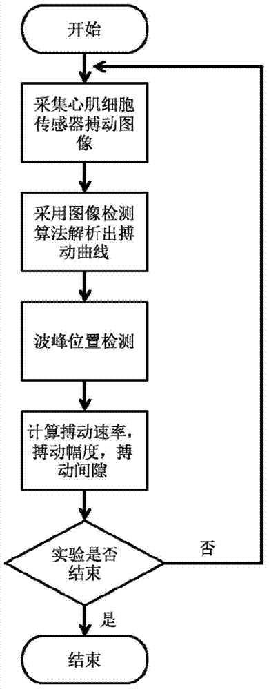 Drug cardiotoxicity detection analysis method based on myocardial cell sensor