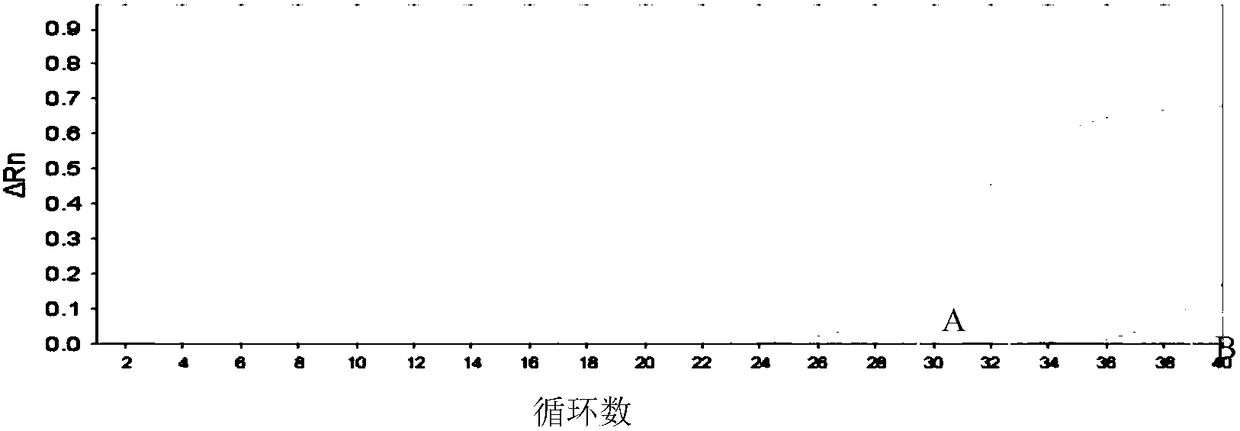 Method for detecting genotype of polymorphic sites of corneal dystrophy gene and its kit