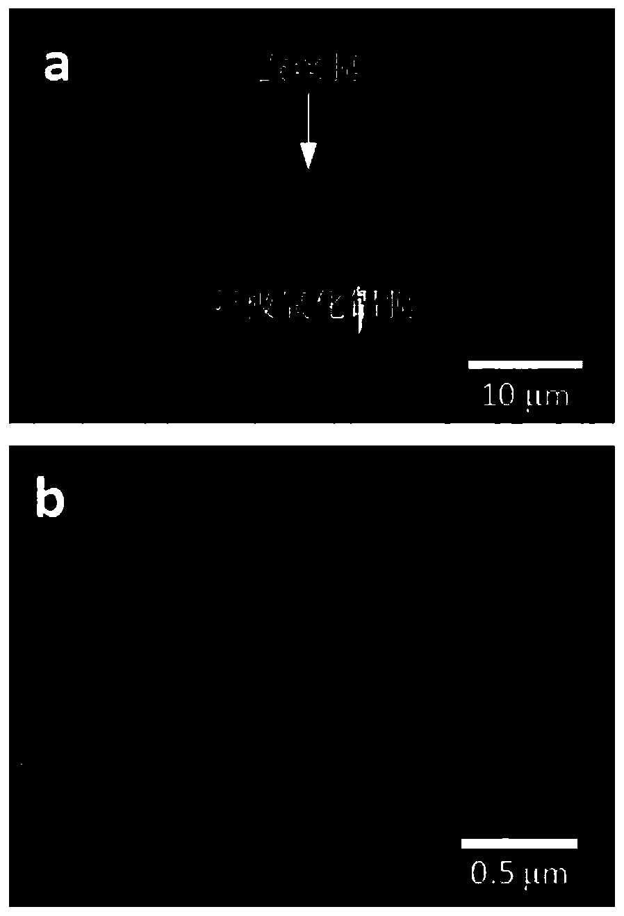 Asymmetric nanopore composite film and preparation method and application thereof