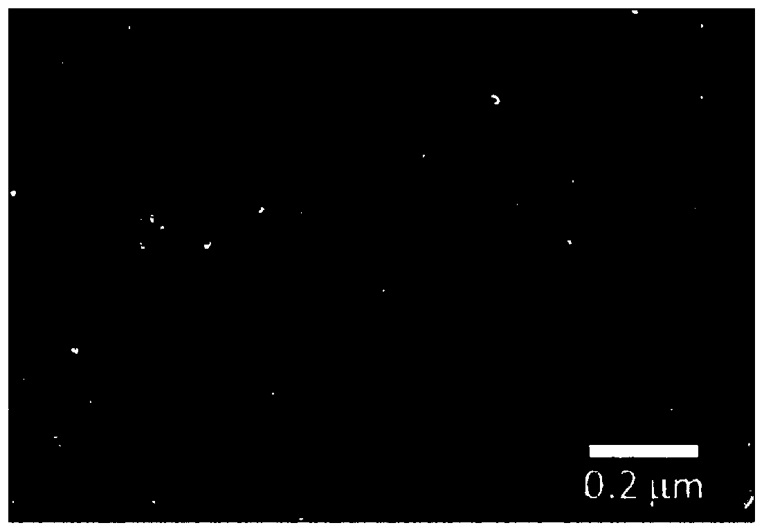 Asymmetric nanopore composite film and preparation method and application thereof