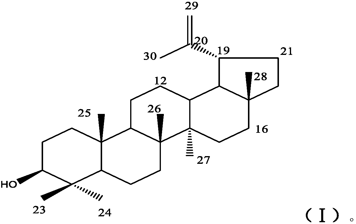 Application of sophora tonkinensis gapnep lupanol