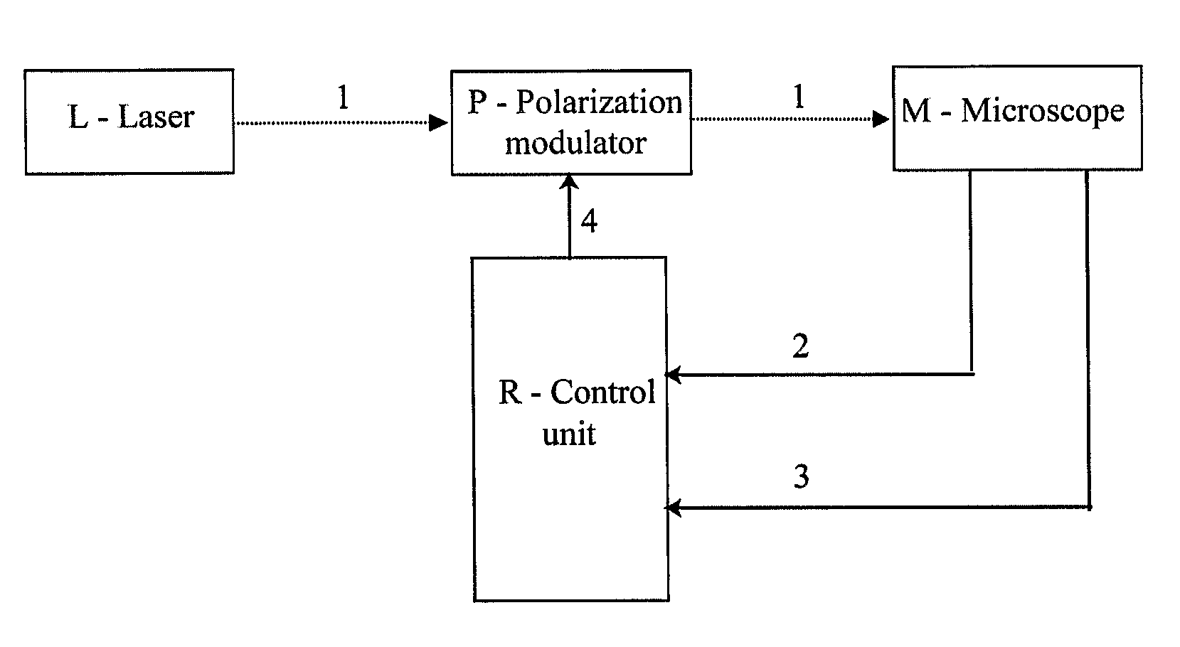 Method for obtaining structural and functional information on proteins, based on polarization fluorescence microscopy