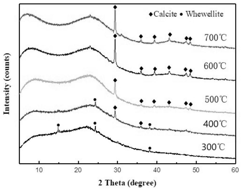 A kind of discarded mango kernel biochar and preparation method thereof