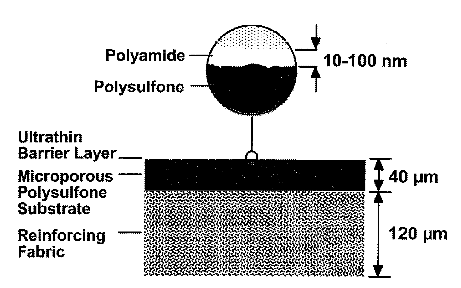 Composite polyamide membrane with branched poly(alkylene oxide) modified surface