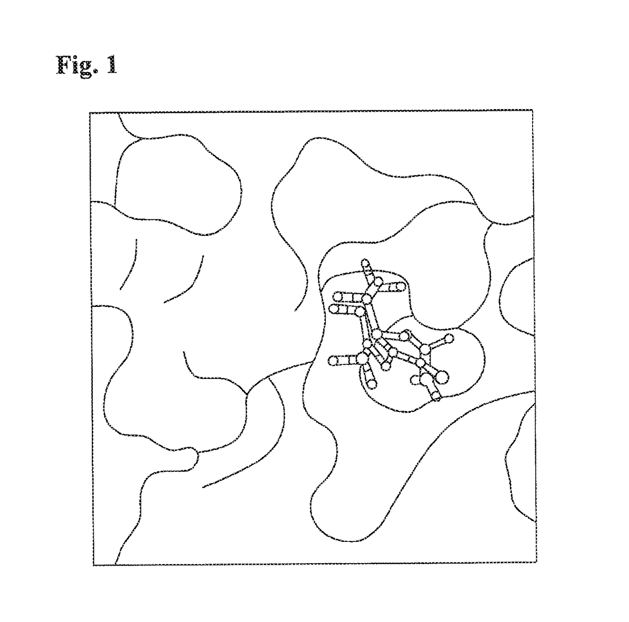 Composition for treatment of inflammatory bowel disease and atopic dermatitis