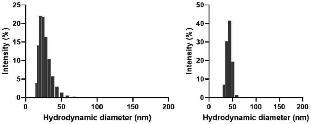 Cannabidiol self-nanoemulsion buccal membrane preparation as well as preparation method and application thereof