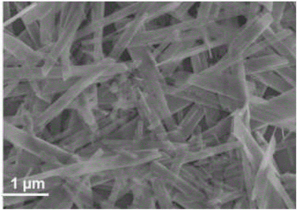 EuWo4 (OH) nanoribbon and preparation method of composite material thereof