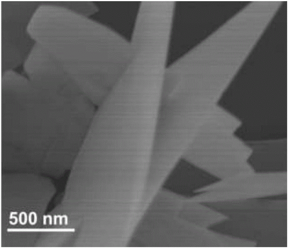 EuWo4 (OH) nanoribbon and preparation method of composite material thereof