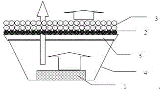 White-light LED (Light Emitting Diode) light source