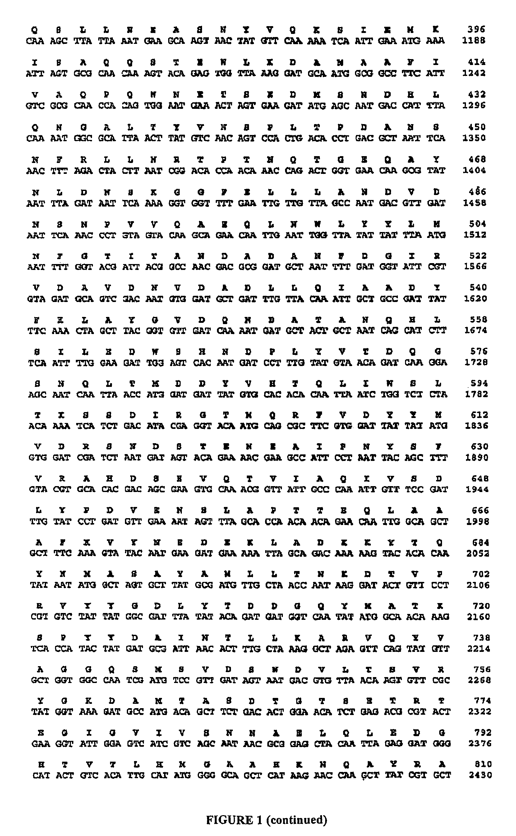 Construction of new variants of dextransucrase DSR-S by genetic engineering