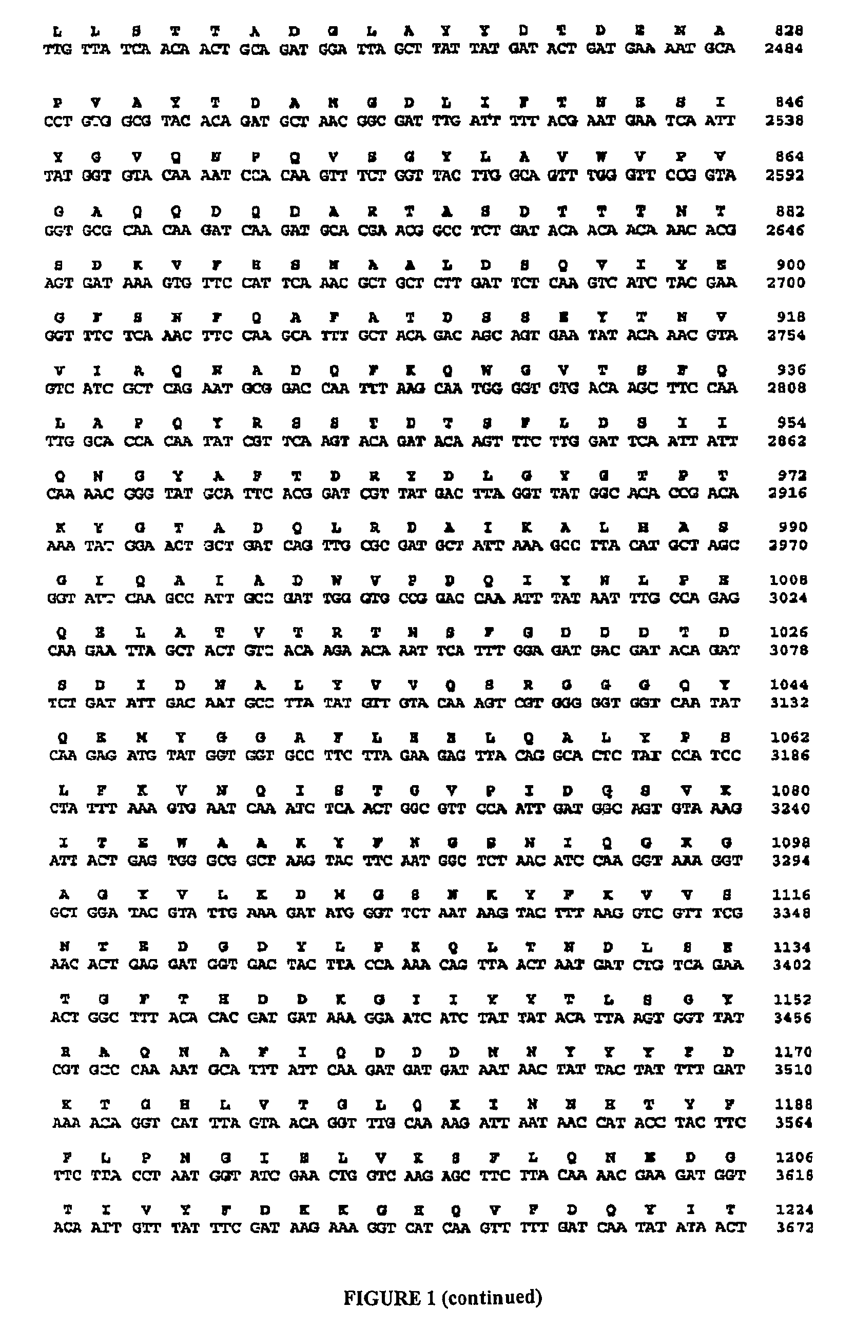 Construction of new variants of dextransucrase DSR-S by genetic engineering