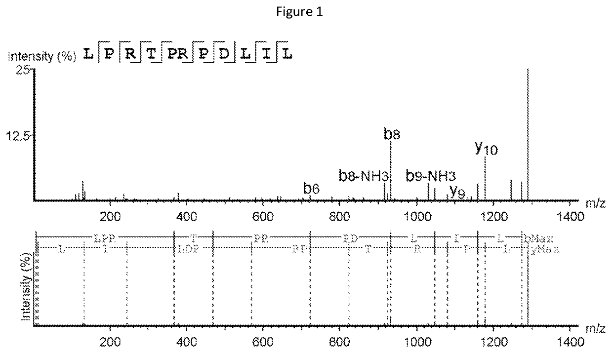 Novel cancer antigens and methods