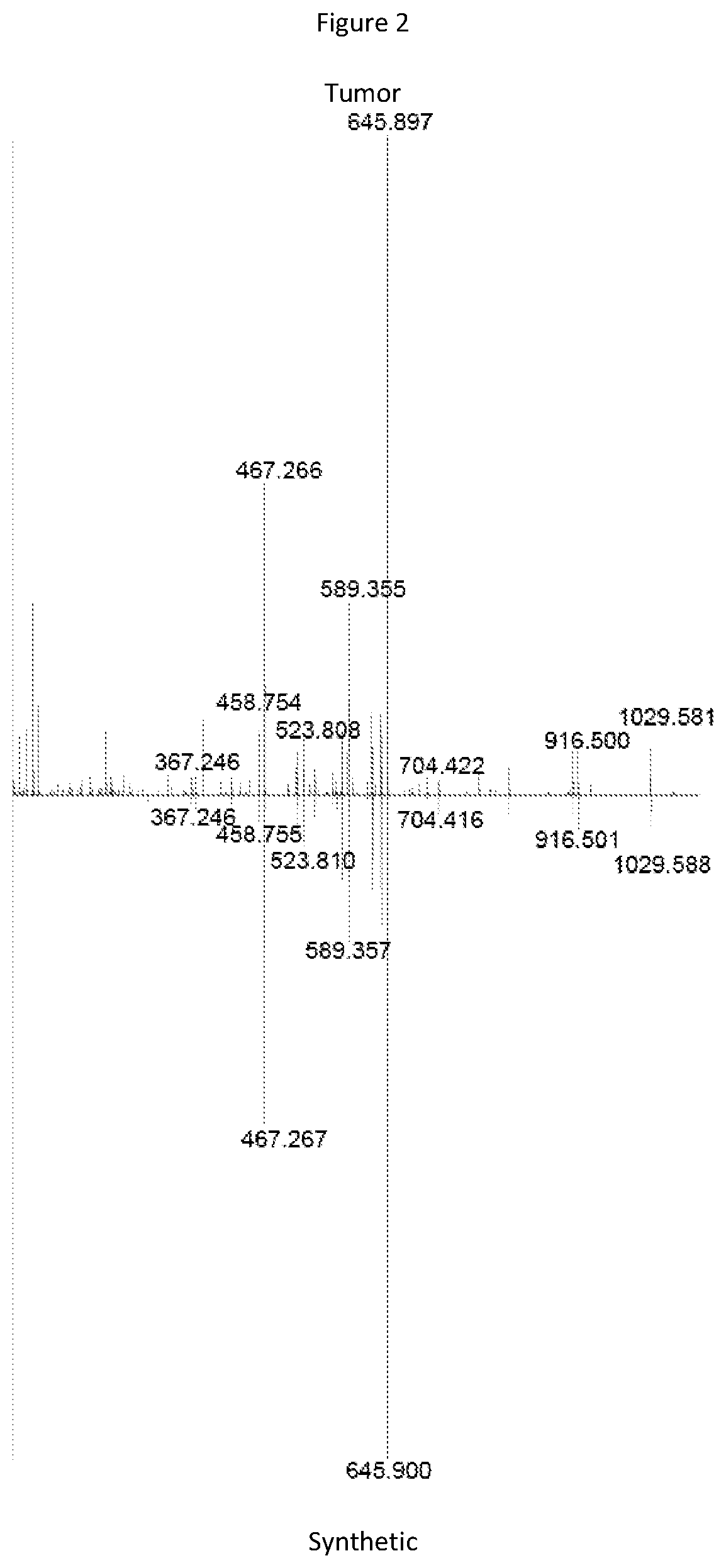 Novel cancer antigens and methods