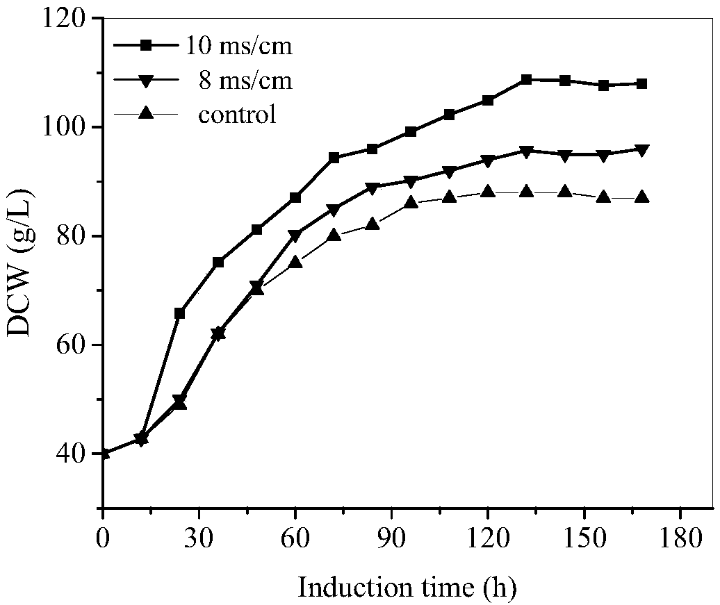 Recombinant Pichia pastoris expressing glucose oxidase fermentation device and fermentation culture method