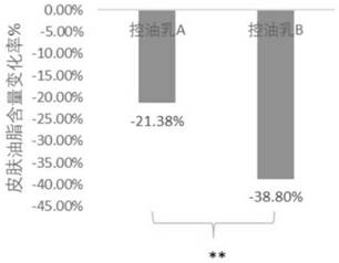 Oil control composition containing plant active ingredients