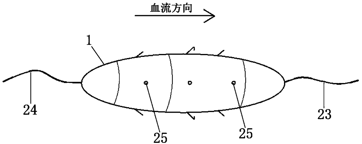 Sensor and capsule integrated biocompatible micro device