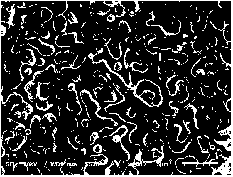 Matt PC/PBT alloy material and preparation method thereof