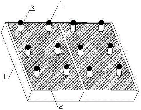 Convenient and simple expanding propagation method of arbuscular mycorrhizal fungus inoculant and expanding propagation structure thereof