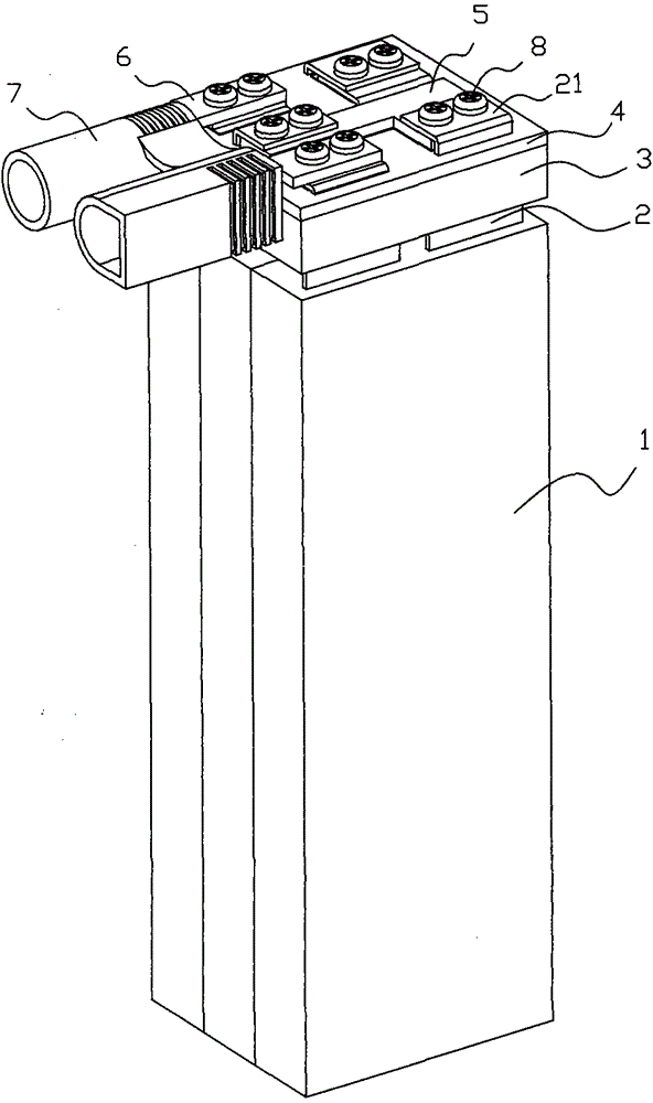 A kind of output structure of lithium battery pack