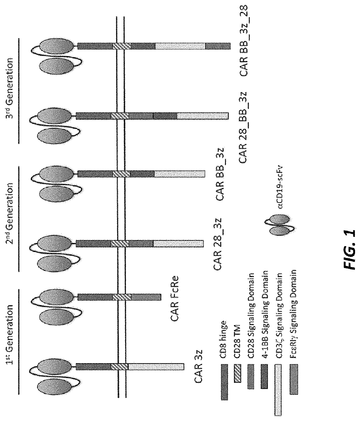 FC-EPSILON CAR (Very imp commercially - in clinical trial)