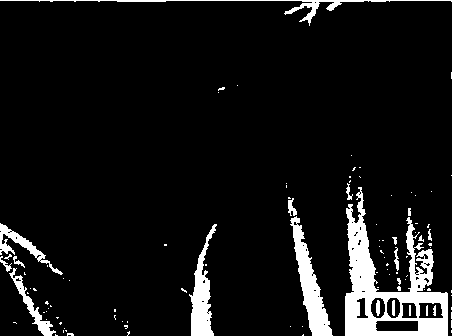 Cobaltosic oxide catalyst, preparation method and application thereof